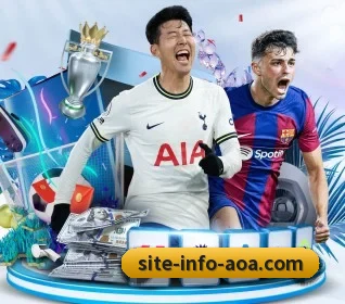 五个功能入口,赛程查询路径更短（aoasports）